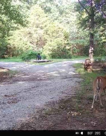 Mutton Creek Getaway