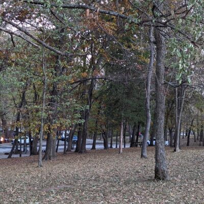 Caplinger Woods RV & Campground